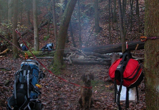 Camp 2 near mouth of Dog Slaughter - DSCN9323