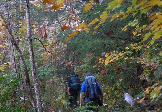 Sheltowee Trace mile 201 - DSCN9339