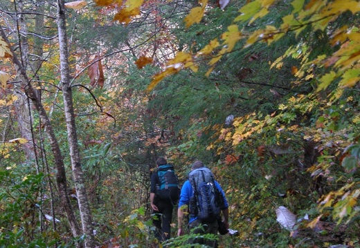 Sheltowee Trace mile 201 - DSCN9339