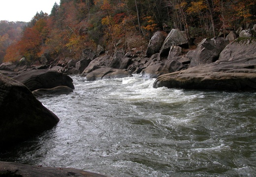 Center Rapids - DSCN9370