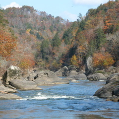 Center Rapids - DSCN9380