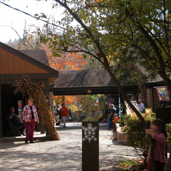 Right through Visitor Center at Cumberland Falls State Resort Park - DSCN9423