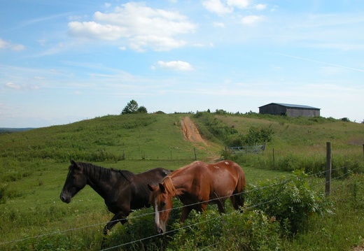 04 June 26: Ditney Ridge, Morgan County, Kentucky