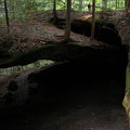 DSCN8219