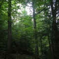 DSCN8245