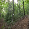 DSCN8252