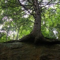 DSCN8255