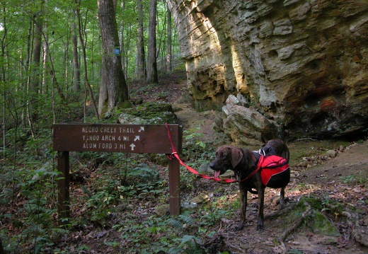 04 September 12: Yahoo Falls & Arch, Negro Creek, Cotton Patch, & Sheltowee Trace on BSF