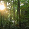DSCN8291