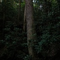 DSCN8303