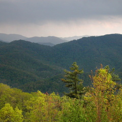 DSCN3251