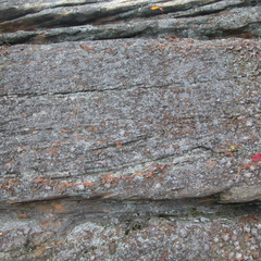 DSCN9486