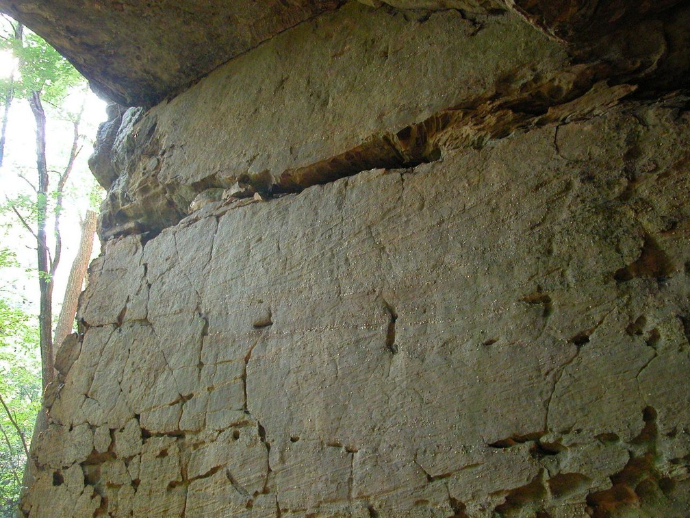 DSCN7744.JPG