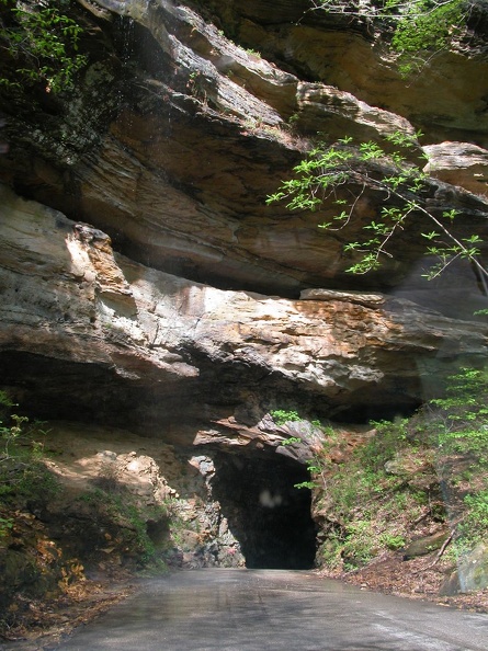 DSCN5602.JPG