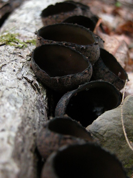 DSCN5606.JPG