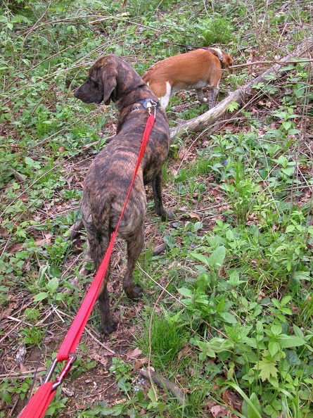 DSCN5614.JPG