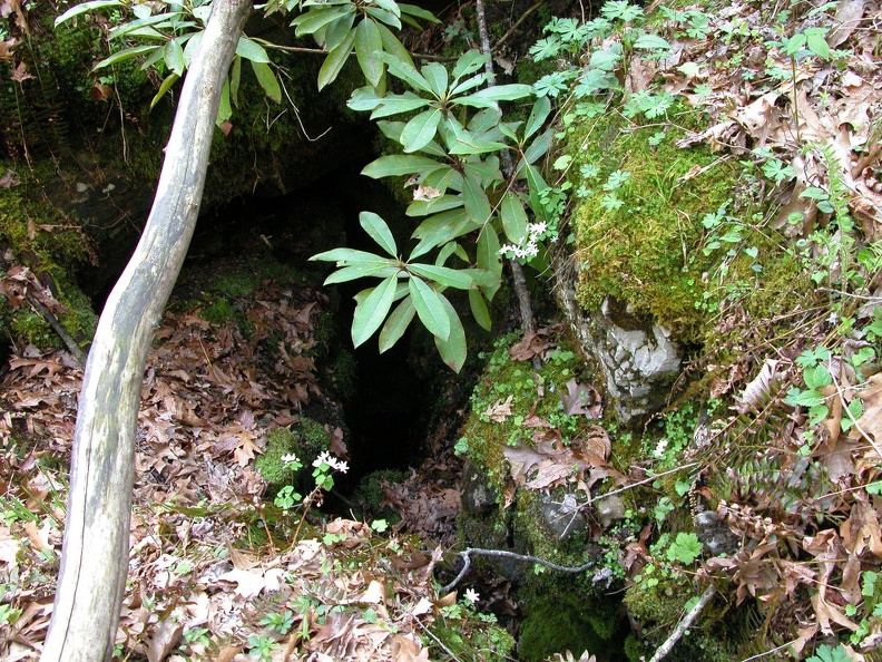 DSCN5627.JPG