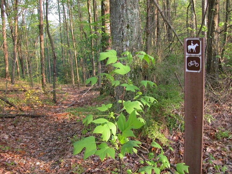 DSCN5629.JPG