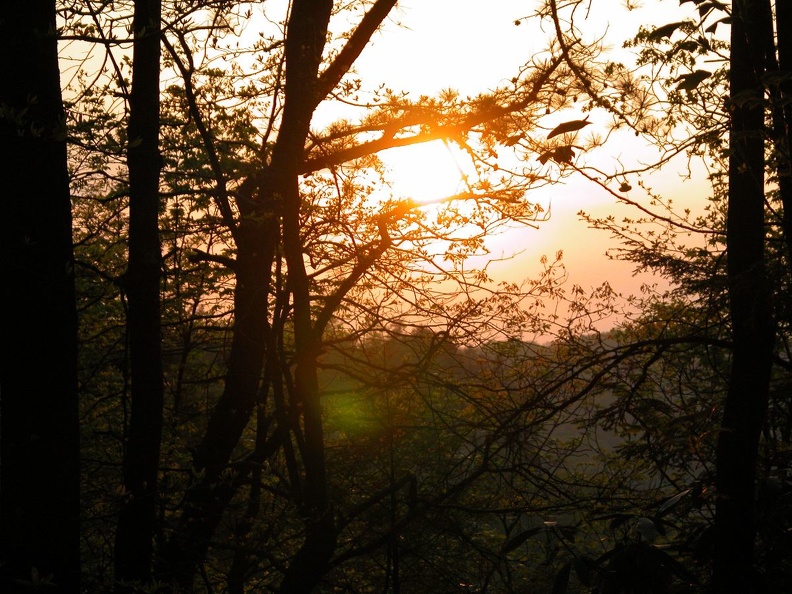 DSCN5655.JPG