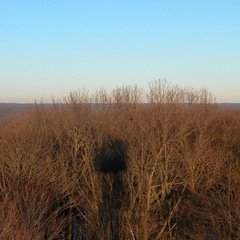 DSCN1130