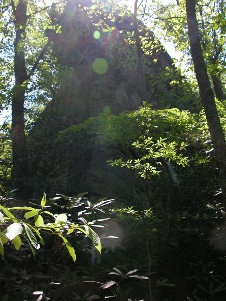 DSCN5936.JPG