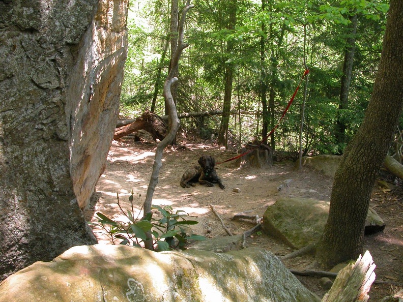 DSCN5980.JPG