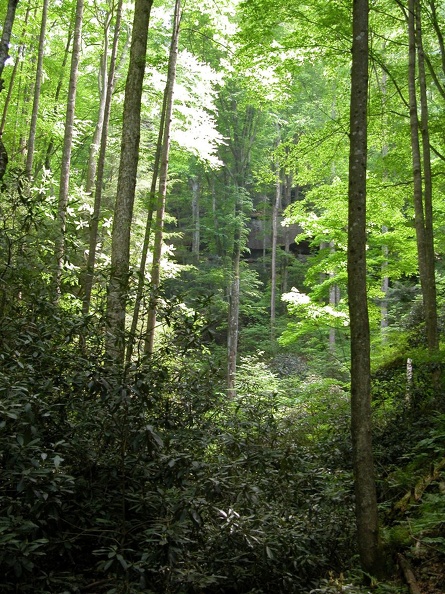 DSCN5992.JPG