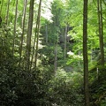 DSCN5992.JPG