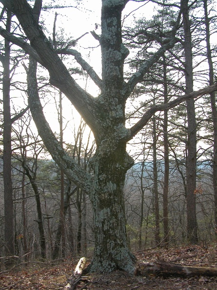 DSCN1437