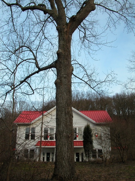 DSCN1447