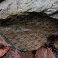 DSCN1311