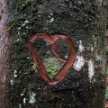 DSCN1312