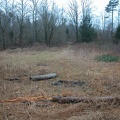 DSCN1322