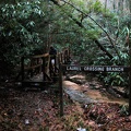 DSCN1324