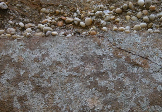DSCN2758