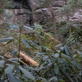 DSCN2761