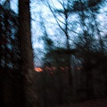 DSCN0882