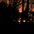DSCN0885