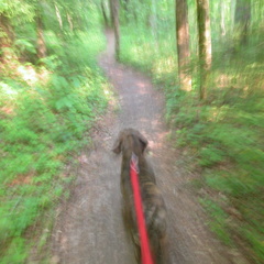 DSCN6018.JPG