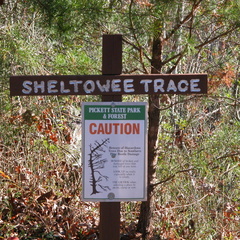 Southern Terminus Sheltowee Trace National Recreation Trail - DSCN9522