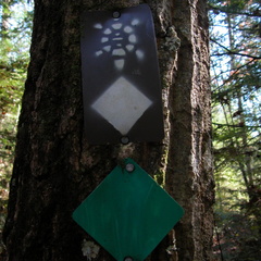 Hidden Passage &amp; Sheltowee Trace Trail Marker - DSCN9523