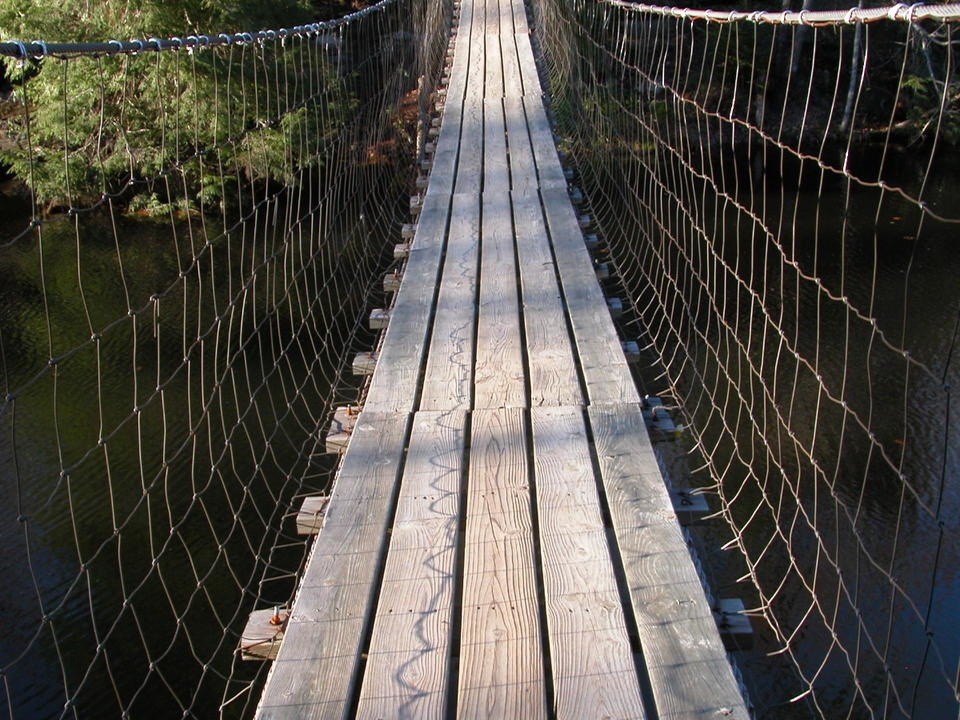 Picket State Park, Swinging Bridge - DSCN9799