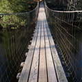 Picket State Park, Swinging Bridge - DSCN9799