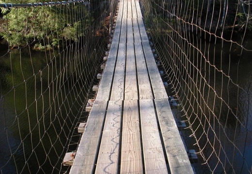 Picket State Park, Swinging Bridge - DSCN9799