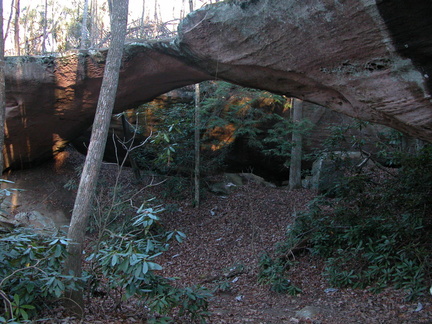 Natural Bridge - DSCN9815