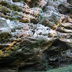 Hazard Cave - DSCN9817