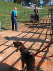 DSCN7395.JPG