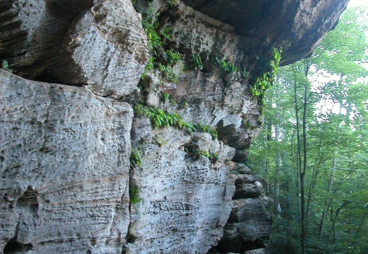 04 June 20: Indian Arch, Sheltowee Bridge, and Gladie, Wolfe & Menifee County, Kentucky