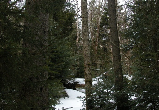 DSCN2049