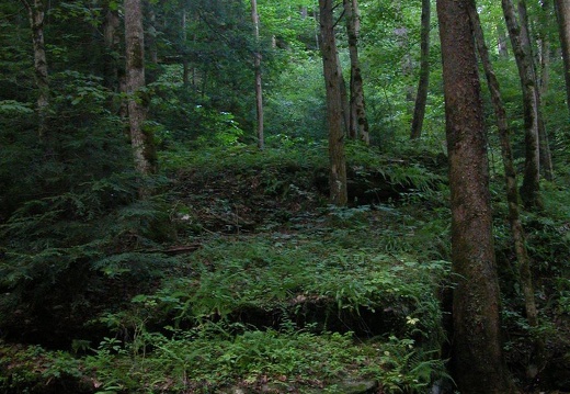 04 June 27: After the Flood on the Rough Trail, Wolfe County, Kentucky